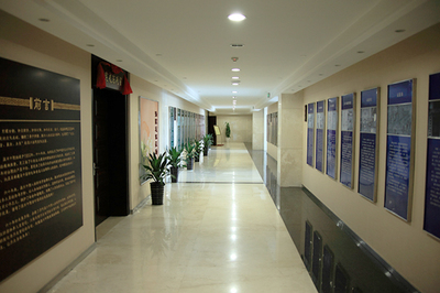 安徽政府機(jī)關(guān)文化環(huán)境設(shè)計公司的使命與實(shí)踐