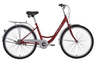 請(qǐng)問(wèn)16寸的自行車(chē)大概有多大